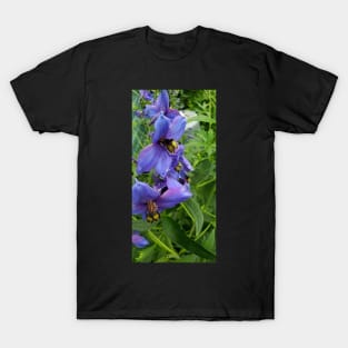 Close up purple delphinium T-Shirt